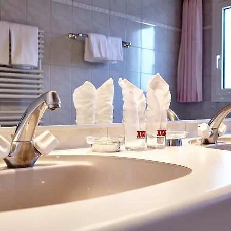 Hotel Basic Hotel Arosa 2*